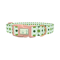 Dotted Clover Line Dog Collar - plastic rose gold