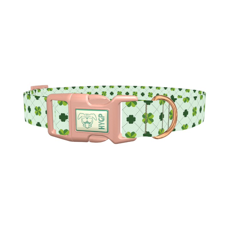 Dotted Clover Line Dog Collar - plastic rose gold