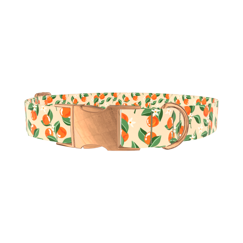 Floral Fruit Dog Collar - metal silver
