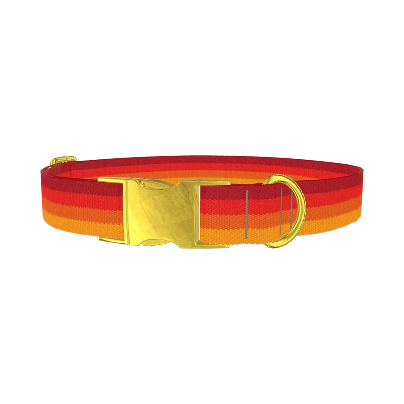 Retro Hexagon Dog Collar - metal gold