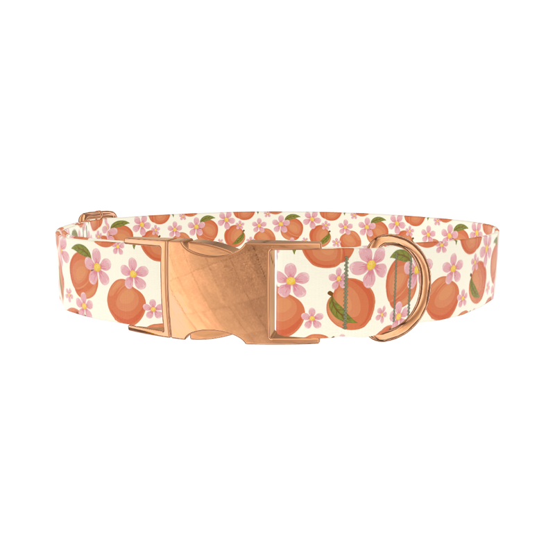 Peach Floral Dog Collar - metal rose gold
