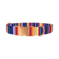 Colorful Mexican Stripe Dog Collar - metal rose gold