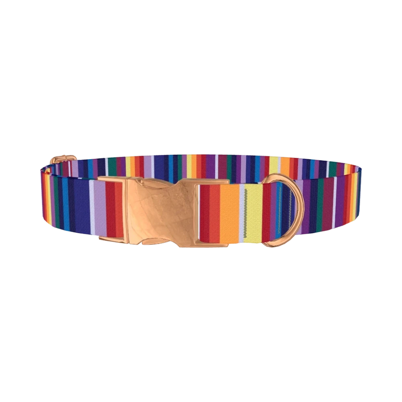 Colorful Mexican Stripe Dog Collar - metal rose gold