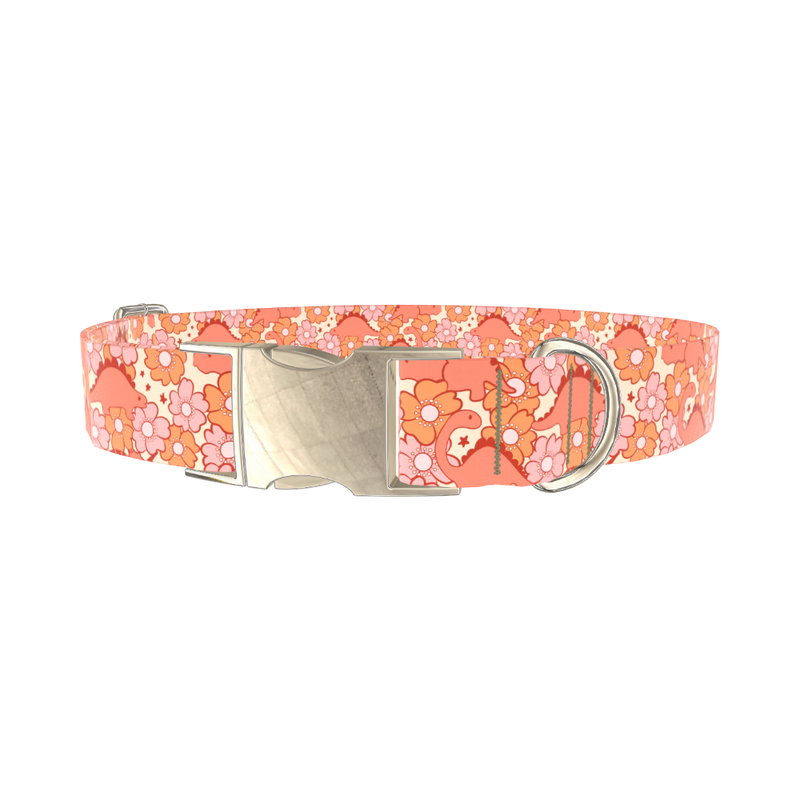Floral Dinosaur Dog Collar - metal silver