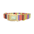 Green Striped Dog Collar - plastic gold