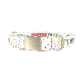 Birthday Confetti Dog Collar - metal silver