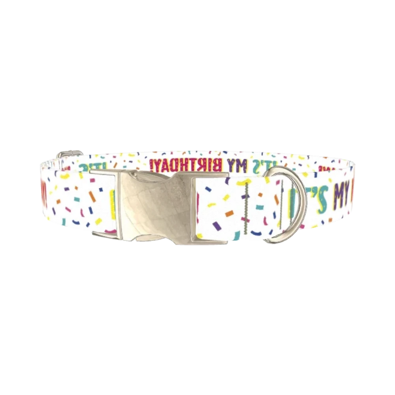 Birthday Confetti Dog Collar - metal silver