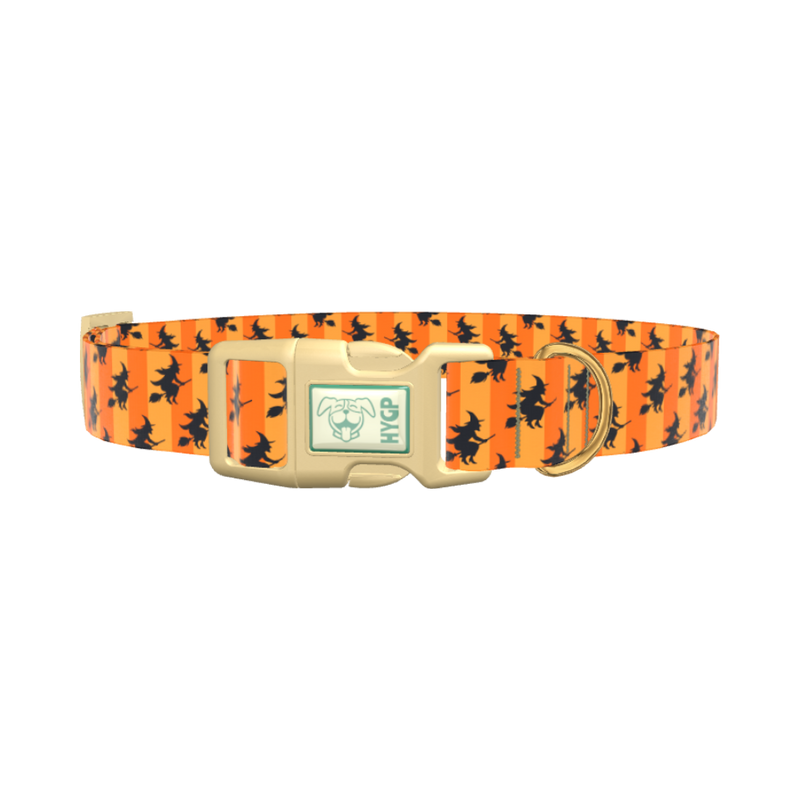 Halloween Witch Stripes Dog Collar - plastic silver