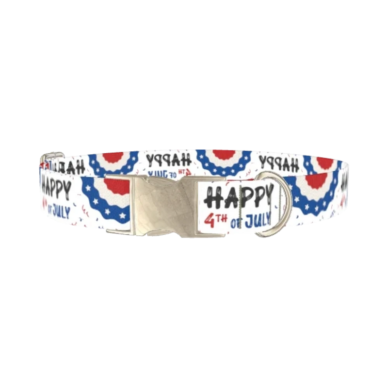Patriotic 4th of July Dog Collar - metal silver