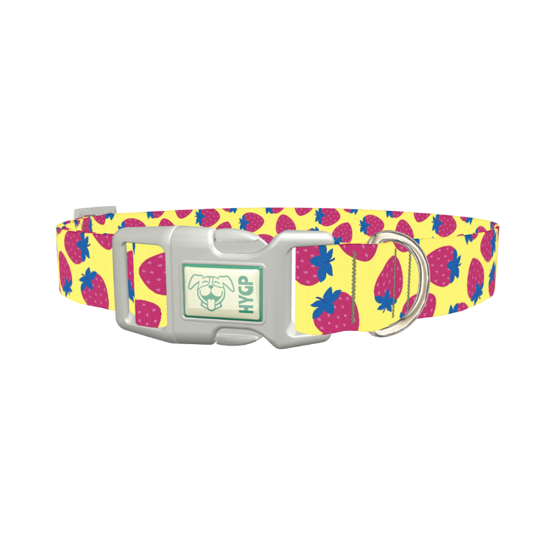 Strawberry Fruit Dog Collar - plastic silver