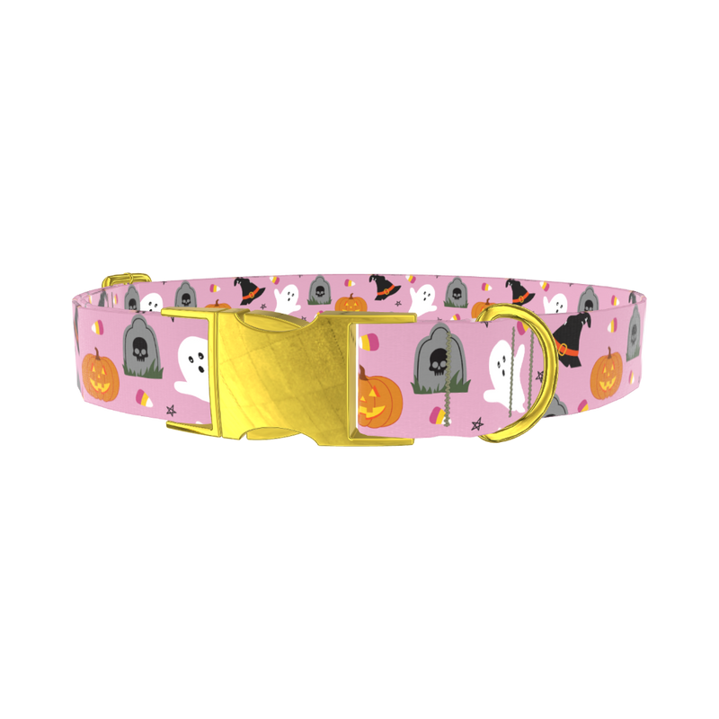 Halloween Trick or Treat Dog Collar - metal gold