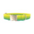 Gradient Dog Collar - metal silver
