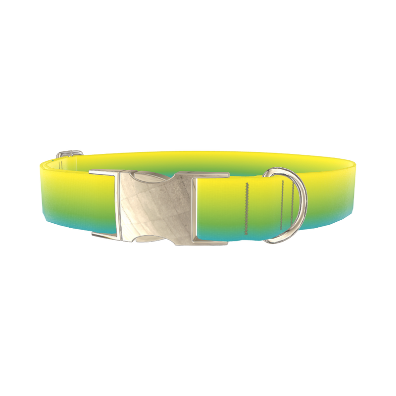 Gradient Dog Collar - metal silver