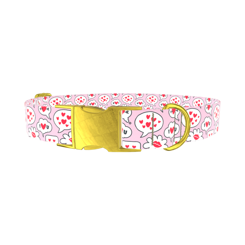 Romantic Speech Bubble Dog Collar - metal rose gold