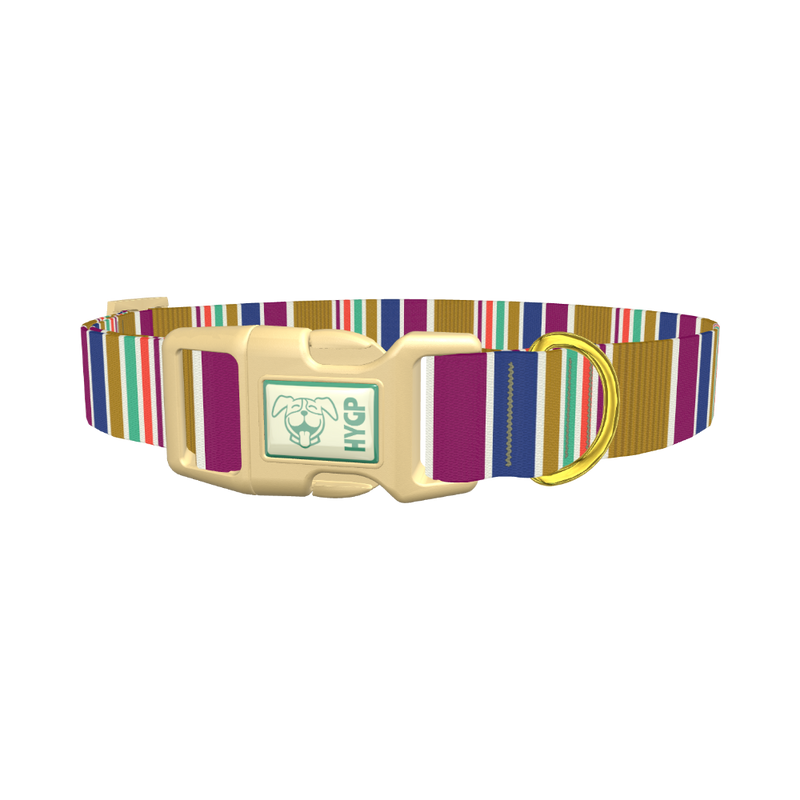 Purple Blue Green Stripes Dog Collar - plastic gold