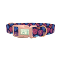 Colorful Monstera Dog Collar - plastic rose gold