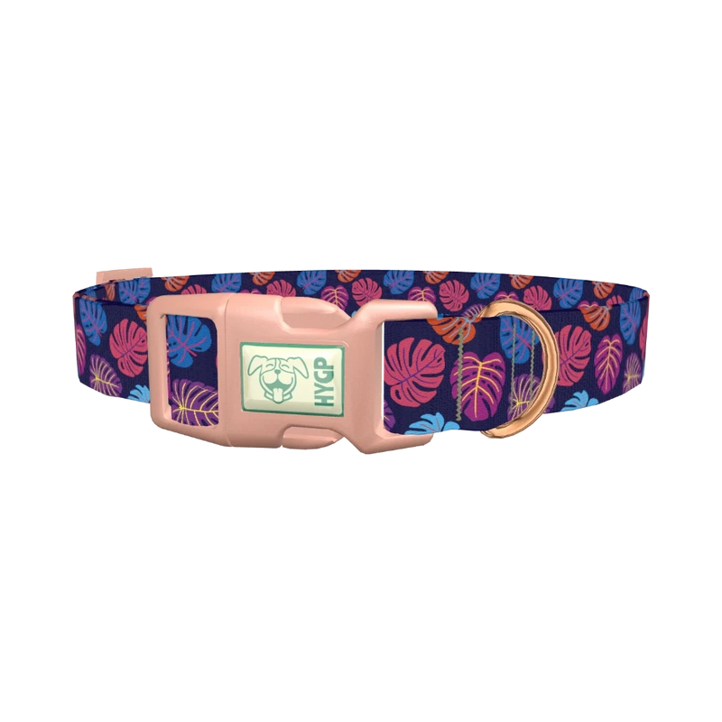 Colorful Monstera Dog Collar - plastic rose gold