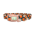 Pumpkin Patch Dog Collar - plastic rose gold