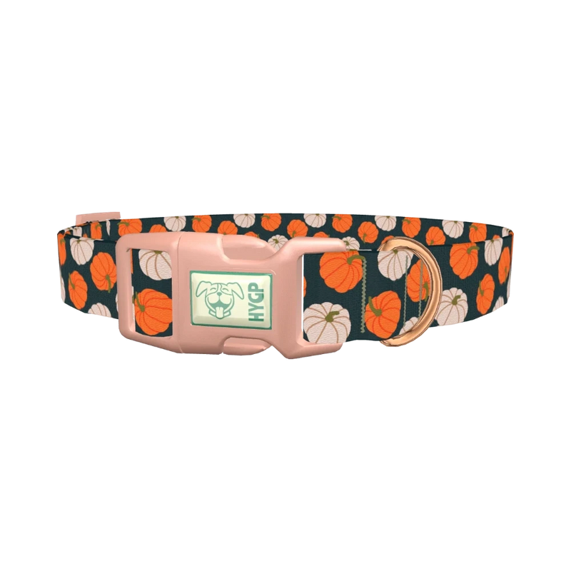 Pumpkin Patch Dog Collar - plastic rose gold