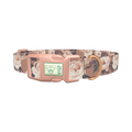 Floral Roses Dog Collar - plastic rose gold