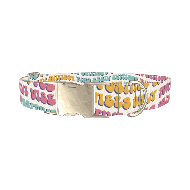 Positive Vibes Text Dog Collar - metal silver