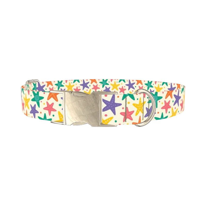 Starfish Mix Dog Collar - metal silver