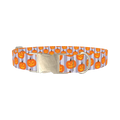 Halloween Pumpkin Stripe Dog Collar - metal silver
