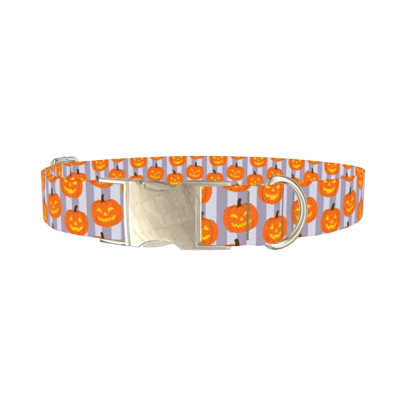 Halloween Pumpkin Stripe Dog Collar - metal silver