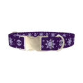 Mystical Sun Eye Dog Collar - metal silver