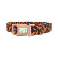 Orange Halloween Bat Pattern Dog Collar - plastic gold
