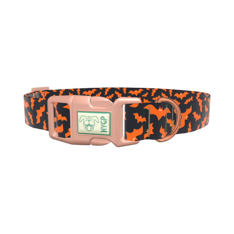 Orange Halloween Bat Pattern Dog Collar - plastic gold