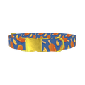 Citrus Popsicle Dog Collar - metal gold