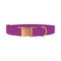 Purple Cactus Flower Color Dog Collar - metal rose gold