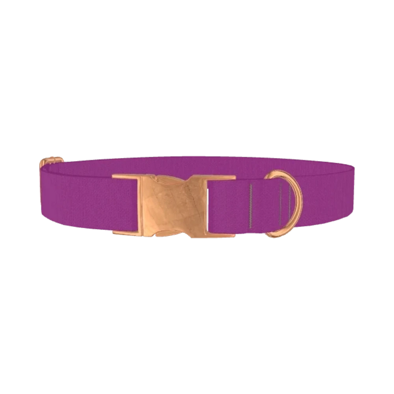Purple Cactus Flower Color Dog Collar - metal rose gold