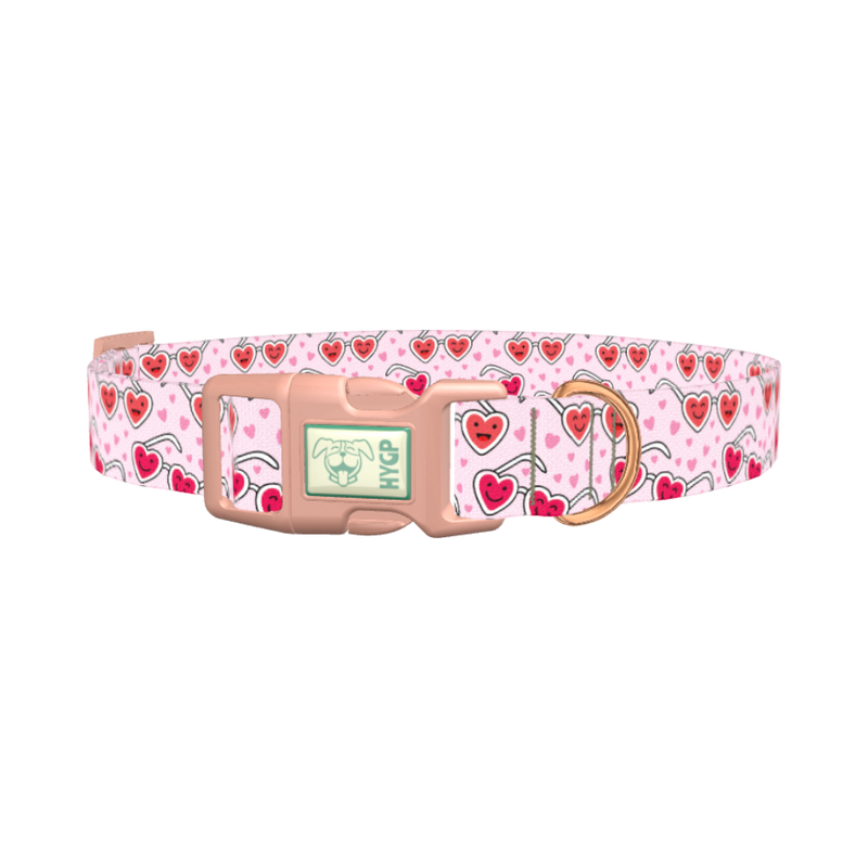 Heart Glasses Dog Collar - plastic rose gold