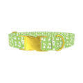 Lime Musical Note Dog Collar - metal gold