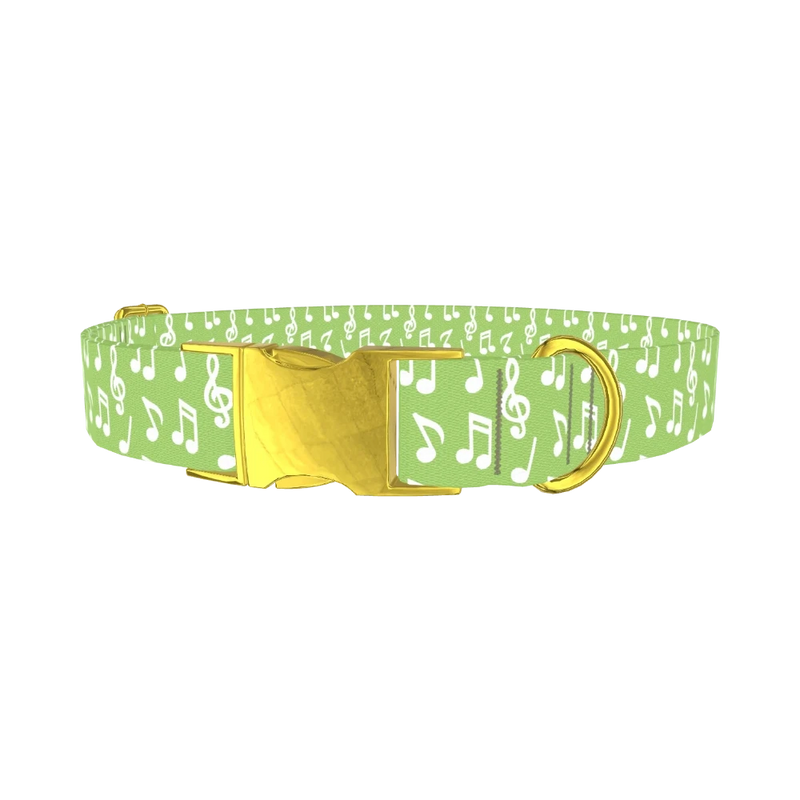 Lime Musical Note Dog Collar - metal gold