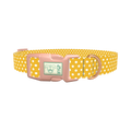 Polka Dot Dog Collar - plastic rose gold