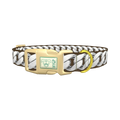 Silver Chain Brown Dog Collar - plastic gold