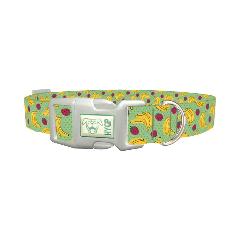 Fruit Pattern Dog Collar - plastic silver