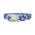 Blue Pansy Floral Dog Collar - plastic silver
