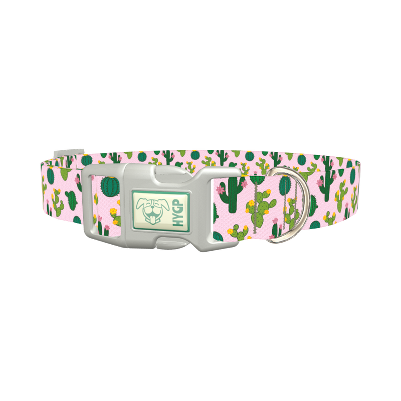 Floral Cactus Dog Collar - plastic silver
