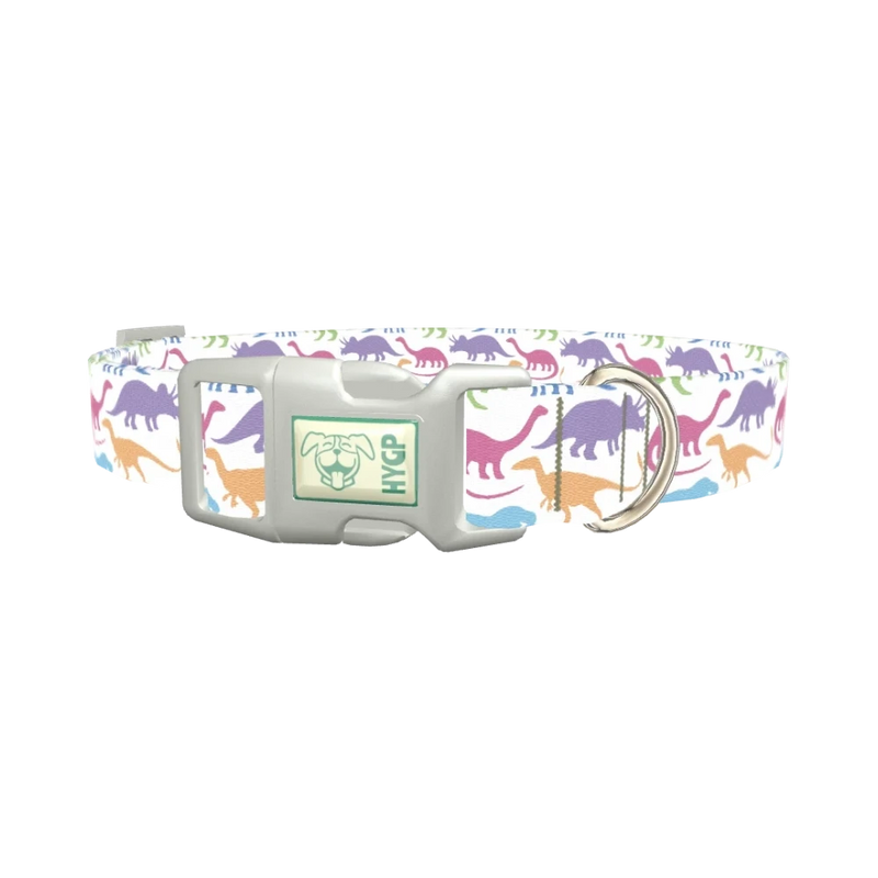 Colorful Dinosaur Dog Collar - plastic silver