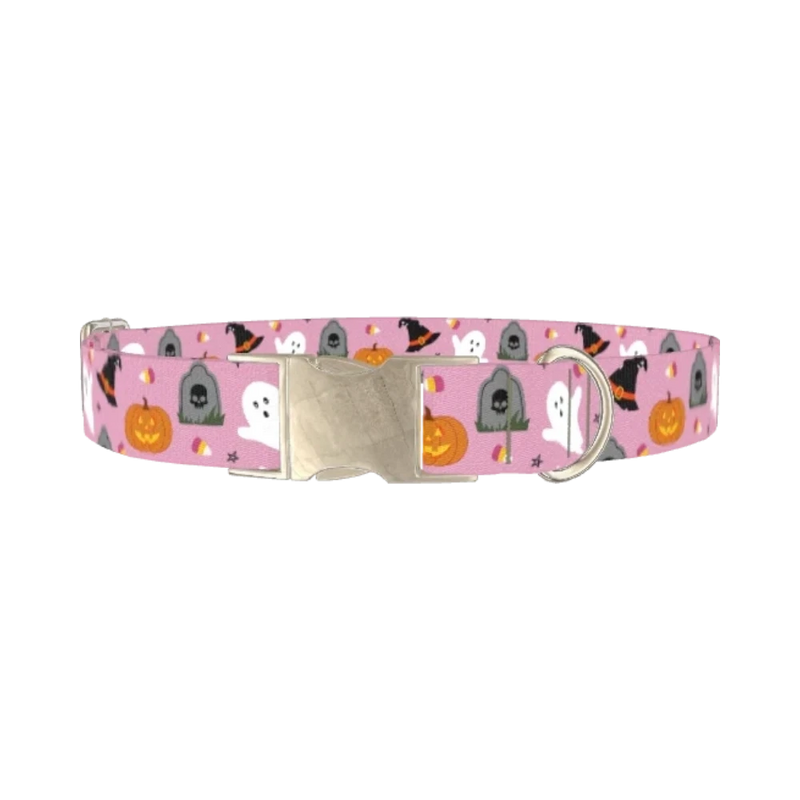 Halloween Trick or Treat Dog Collar - metal silver