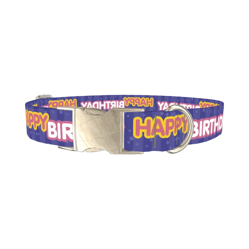 Birthday Text Dog Collar - metal silver