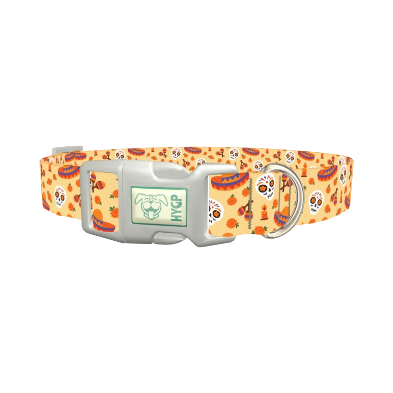 Dia de los Muertos Dog Collar - plastic silver