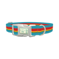 Turquoise Red Stripe Dog Collar - plastic silver