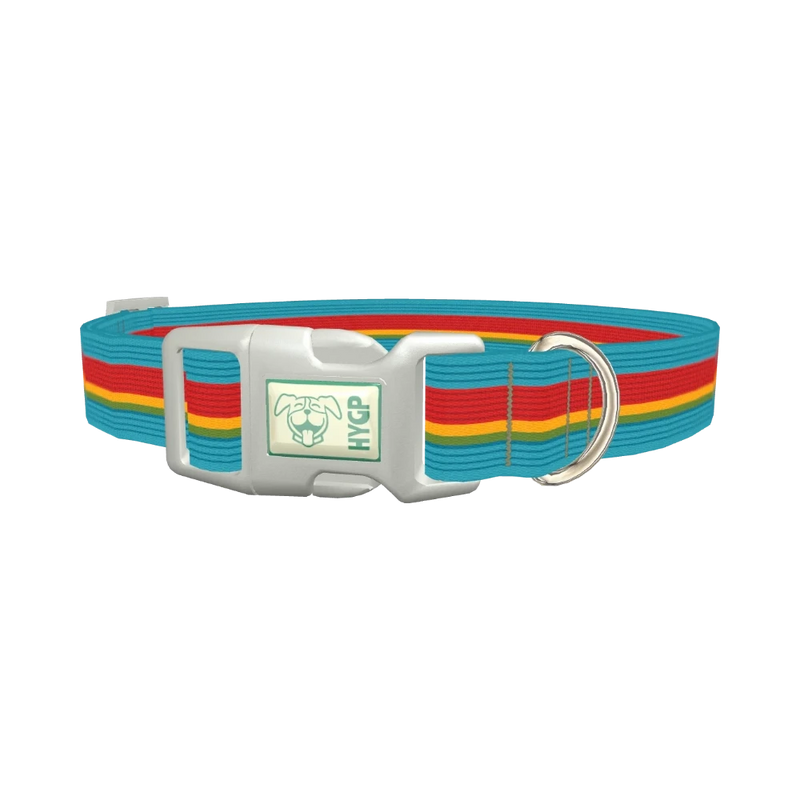 Turquoise Red Stripe Dog Collar - plastic silver