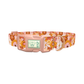 Retro Flower Burst Dog Collar - plastic rose gold