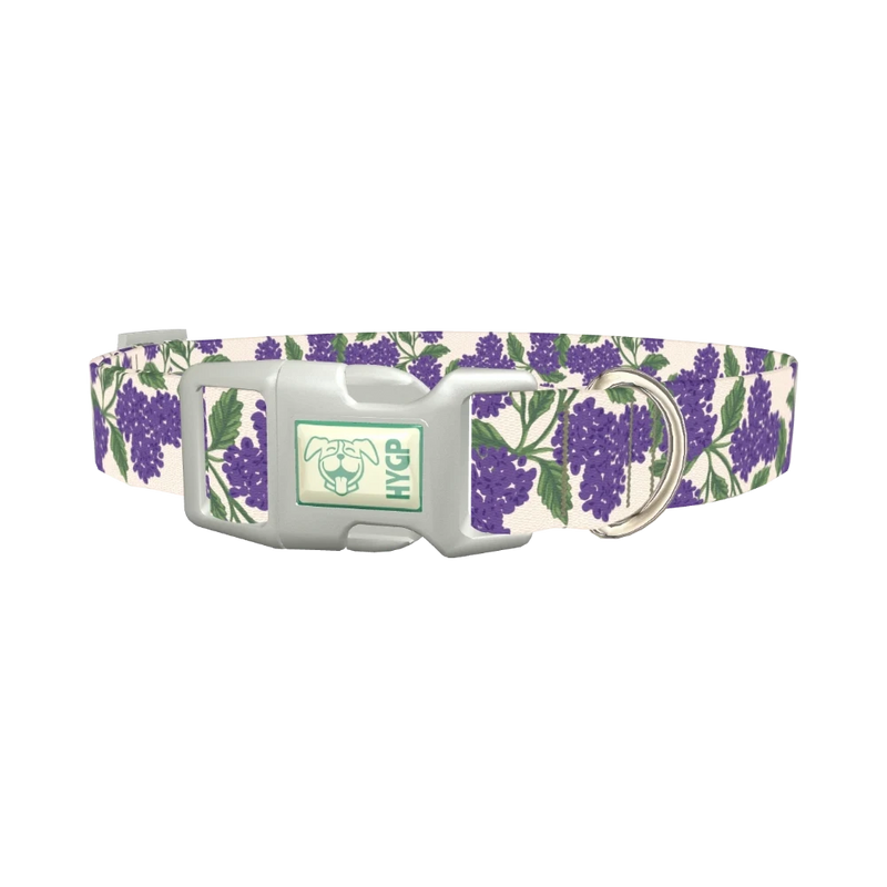 Purple Hydrangea Dog Collar - plastic silver